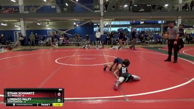 60 lbs Placement Matches (16 Team) - Lorenzo Palfy, Neighborhood vs Ethan Schwartz, All American