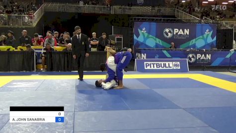 ALEXANDER MICHAEL HERNANDEZ vs ANDREW JOHN SANABRIA 2024 Pan Jiu Jitsu IBJJF Championship