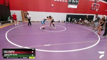 185 lbs Finals (2 Team) - Izzy Fenfro, Kansas Silver vs Angelina Elias, TMNT