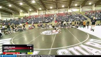 119 lbs Round 3 (4 Team) - Ladd Holman, Utah Gold vs Jake Mescher, Idaho 1