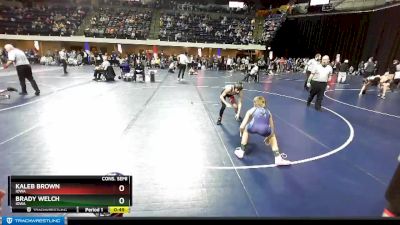 82 lbs Cons. Semi - Brady Welch, Iowa vs Kaleb Brown, Iowa