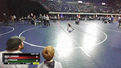 49 lbs Quarterfinal - Broc Johnsen, Iowa vs Kai Strosahl, Iowa