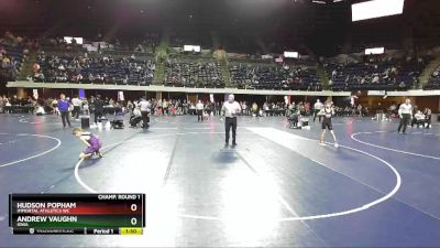 102 lbs Champ. Round 1 - Andrew Vaughn, Iowa vs Hudson Popham, Immortal Athletics WC