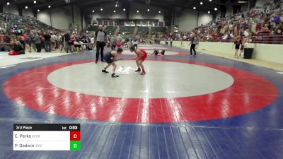 80 lbs 3rd Place - Ethan Parks, Georgia vs Pace Godwin, Grizzly Wrestling Club