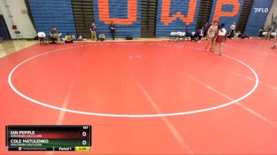 197 lbs 3rd Place Match - Ian Pepple, Wisconsin-Eau Claire vs Cole Matulenko, Wisconsin-Eau Claire