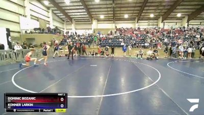 113 lbs Semifinal - Dominic Bozanic, CA vs Konner Larkin, AZ