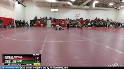 190 lbs Champ. Round 2 - Ricardo Castillo, Greeley West vs Kaden Hannason, Highlands Ranch