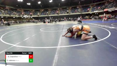 215 lbs Champ. Round 1 - Santino Capodice, Minooka vs Celso Cabrera, Mundelein