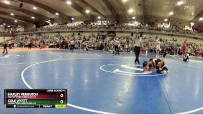 80 lbs Cons. Round 4 - Cole Wyatt, Lamar Tiger Wrestling-AA vs Marley Ferguson, Fulton Wrestling Club-AA