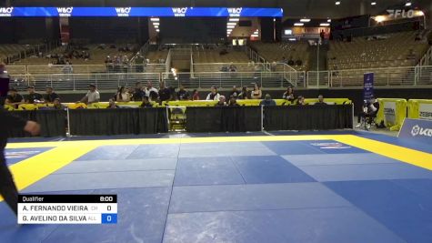 ANDRÉ FERNANDO VIEIRA SOARES vs GUILHERME AVELINO DA SILVA 2024 Pan Jiu Jitsu IBJJF Championship