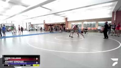 195 lbs Round 4 - Linkin Callahan, None vs Jovanny Gonzalez, Virginia Team Predator Wrestling Club