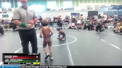 48 lbs Cons. Round 3 - Abel Wesolowski, Grappling House WC vs Amazin` Hall, Roundtree