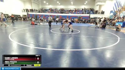 138 lbs Cons. Round 3 - Gabe Larsen, Coeur D Alene vs Niko Piazza, Coeur D Alene