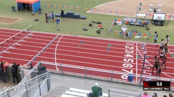 Men's 110m Hurdles, Final