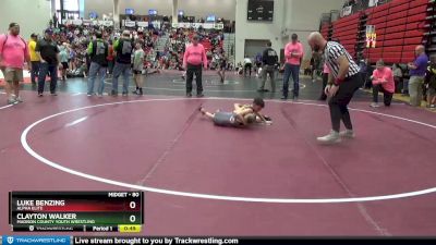 80 lbs 3rd Place Match - Luke Benzing, Alpha Elite vs Clayton Walker, Madison County Youth Wrestling