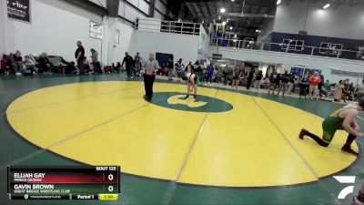 161 lbs Cons. Round 2 - Gavin Brown, Great Bridge Wrestling Club vs Elijah Gay, Prince George