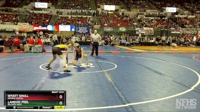 AA - 113 lbs Cons. Round 2 - Landon Peel, Billings West vs Wyatt Shull, Helena Capital