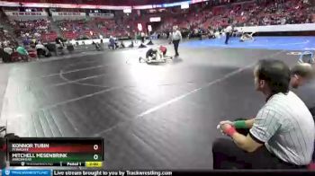 D1-152 lbs Champ. Round 1 - Mitchell Mesenbrink, Arrowhead vs Konnor Tubin, Pewaukee