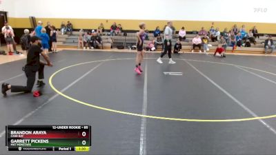 85 lbs Round 1 - Brandon Araya, Cane Bay vs Garrett Pickens, Mat Monstars