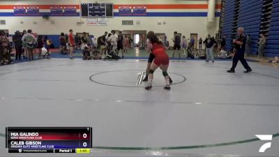 113 lbs Semifinal - Caleb Gibson, Virginia Elite Wrestling Club vs Mia Galindo, NOVA Wrestling Club