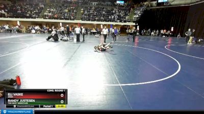 82 lbs Cons. Round 1 - Randy Justesen, The Best Wrestler vs Eli Vaske, Iowa