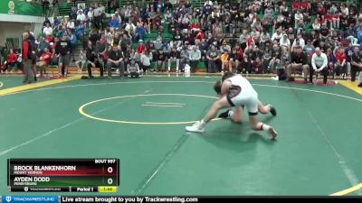 106 lbs 1st Place Match - Ayden Dodd, PERRYSBURG vs Brock Blankenhorn, MOUNT VERNON