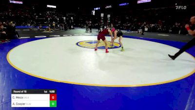 106 lbs Round Of 16 - Cynthia Meza, Calaveras vs Abbi Cooper, Clayton Valley