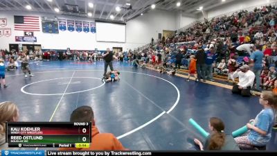 53 lbs Round 3 - Reed Ostlund, Douglas WC vs Kaij Koehler, Windy City Wrestlers