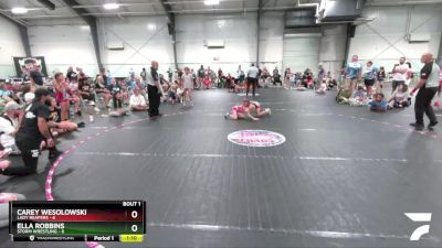 64 lbs Finals (2 Team) - Ella Robbins, Storm Wrestling vs Carey Wesolowski, Lady Reapers