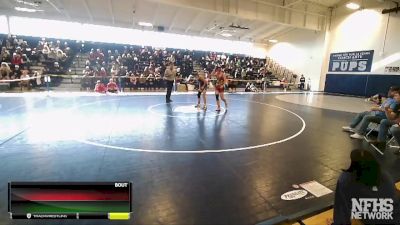 160 lbs Quarterfinal - Gage Blakeslee, Newport (Bellevue) vs Walter Palmer, Central Valley