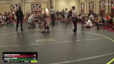 65 lbs Round 2 (4 Team) - Gavin Petraglia, SVRWC Gold vs Quinn Larsen, Bad Bass