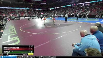 D1-157 lbs Quarterfinal - Ramon Gulmatico, Arrowhead vs Peyton Lee, Kaukauna