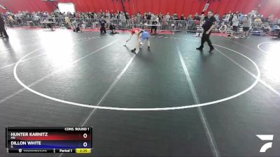 132 lbs Cons. Round 1 - Hunter Karnitz, MN vs Dillon White, IL