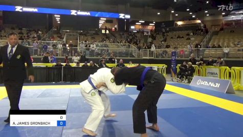 ANDREW C CARPENTER vs ALEXANDER JAMES GRONBACH 2024 Pan Jiu Jitsu IBJJF Championship