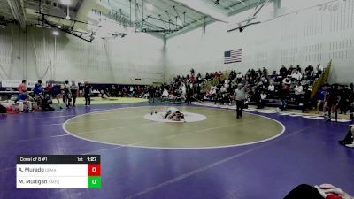 113 lbs Consi Of 8 #1 - Alec Murado, Demarest vs Matthew Mulligan, New Milford