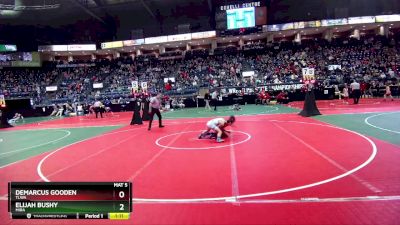 100 lbs Semifinal - Demarcus Gooden, TLWA vs Elijah Bushy, MIRA