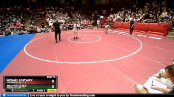 113 lbs D1/d2/d3 Finals (sat 3:00 P.m.) - Michael Bostwick, Luxemburg-Casco vs Irelynd Cejka, Prairie Du Chien