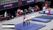 Aaron Stein - Pommel Horse, Houston Gym Center - 2021 US Championships