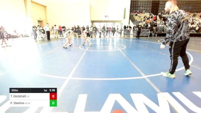 95 lbs Quarterfinal - Theresa Godshall, Upper Perkiomen vs Francesca Dasilva, Kearny