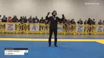 CHRISTOPHER AARON CROSBY vs ERIC BOARD 2020 IBJJF Pan No-Gi Championship