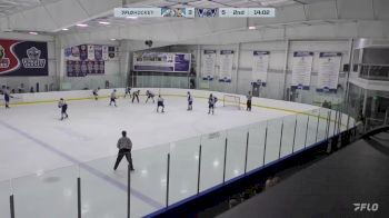 Replay: Home - 2024 Hitmen vs WBS Knights | Mar 9 @ 3 PM