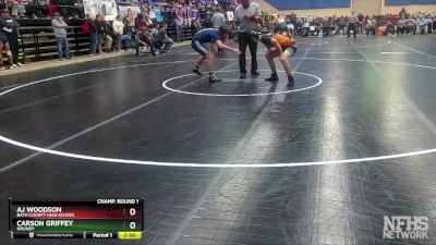 1 - 144 lbs Quarterfinal - Carson Griffey, Grundy vs AJ Woodson, Bath County High School