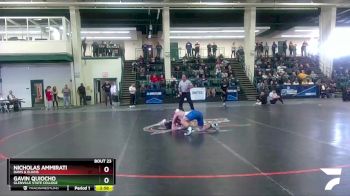 133 lbs Quarterfinal - Nicholas Ammirati, Davis & Elkins vs Gavin Quiocho, Glenville State College