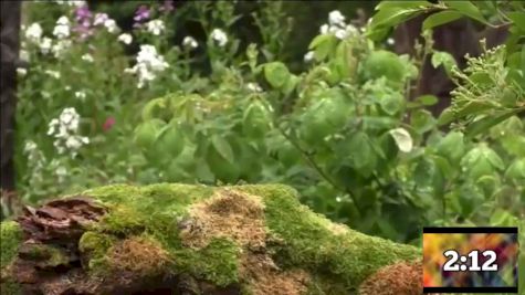 Replay: Bro Flips - 2025 SnowBros | Dec 19 @ 1 AM