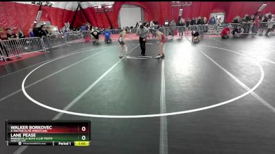 87 lbs Cons. Round 3 - Walker Borkovec, X-Factor Elite Wrestling vs Lane Pease, Pardeeville Boys Club Youth Wrestling