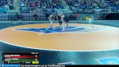 106 lbs Quarterfinal - Aaron Morris, Williston vs Cade Nieuwsma, Bismarck