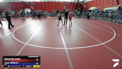 110 lbs Quarterfinal - Benjamin Nadig, IL vs Kain Ornelas, NE