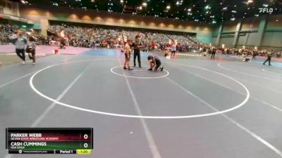 161-167 lbs Round 1 - Parker Webb, Silver State Wrestling Academy vs Cash Cummings, USA Gold