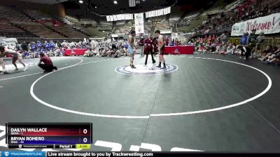 195 lbs Round 3 (16 Team) - Dailyn Wallace, REWA vs Bryan Romero, IEWA