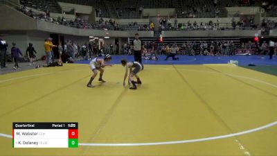 85 lbs Quarterfinal - Kiernan Delaney, Toss Em Up Wrestling Academy vs Mitchell Webster, Chippewa Elite Wrestling